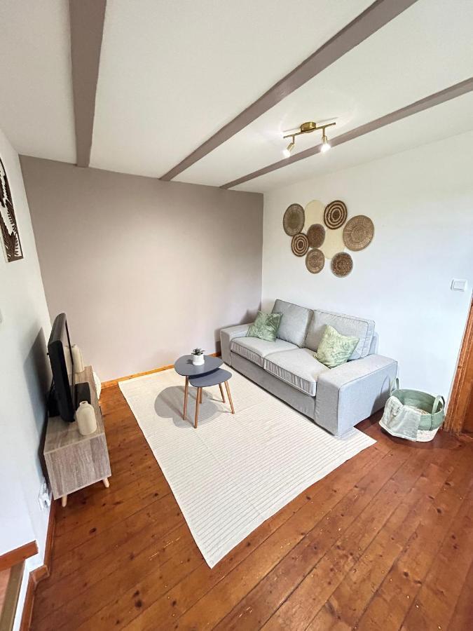 Le Cocon Du Vignoble - Free Wifi - Netflix Apartman Turckheim Kültér fotó