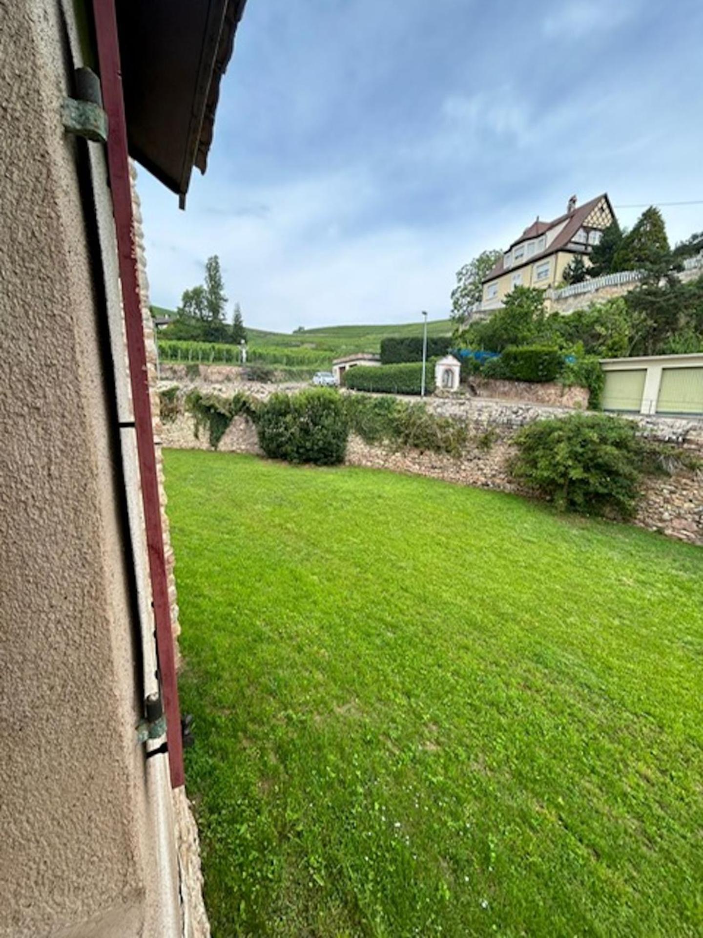 Le Cocon Du Vignoble - Free Wifi - Netflix Apartman Turckheim Kültér fotó